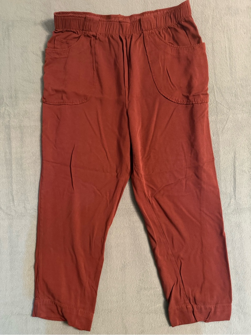 Anthropologie Dolan Left Coast Pants Womens Large  Rust Ankle Flowy Soft Comfy